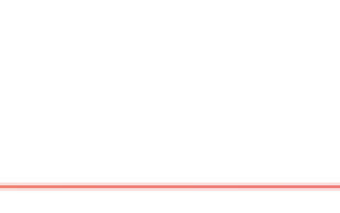 两个深圳人，决定去中亚创业