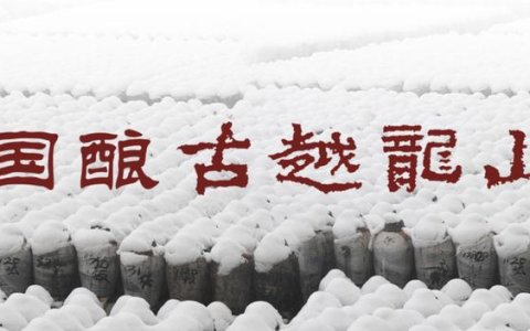 古越龙山：10块一瓶的黄酒，上不了大台面？