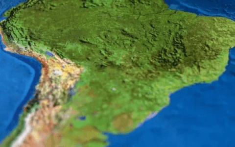 在巴西赚了5个亿，他们只想闷声发大财