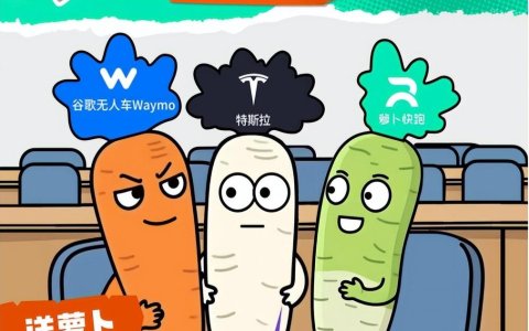 全球Robotaxi竞赛枪响，中国玩家需要提速