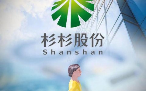 660亿“杉杉系”换了女掌门