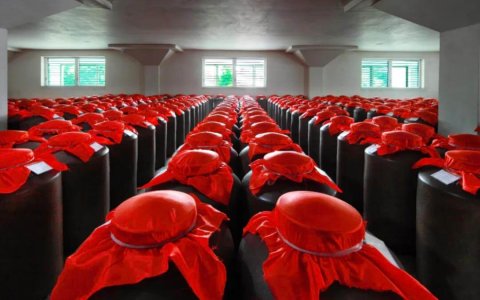 舍得酒业再增持，机构加仓是看中了什么？