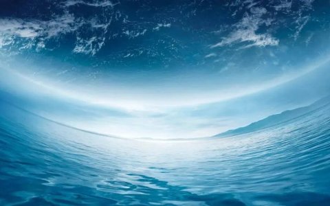 魏建军，拉响行业警报