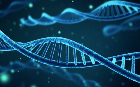 丸美生物，如何面对护肤品市场的世界变局？