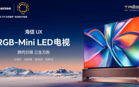 海信视像2024年营收稳步增长，高端引领 百吋世界第一