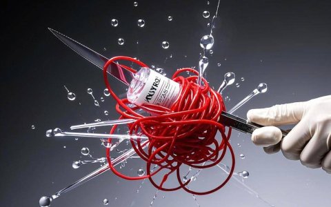 华熙生物赵燕举起「改革手术刀」