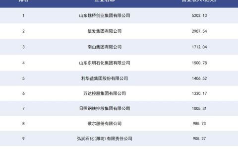 村办企业巨无霸进军东南亚