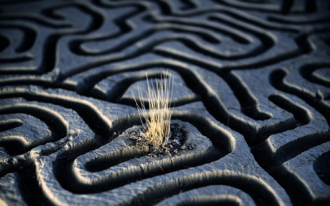 3年亏了8亿，雍禾自己也“脱发”