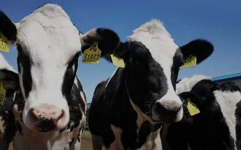 如何定义一家好公司？