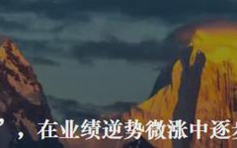 锦缎观察：去年11月以来，大厂AI军备竞赛进入实质加速阶段