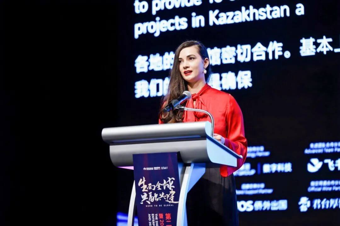 16小时，1300人，20000字演讲精华，新加坡出海峰会聊了什么？