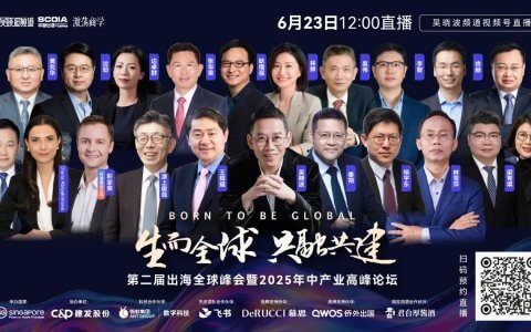 16小时，1300人，20000字演讲精华，新加坡出海峰会聊了什么？