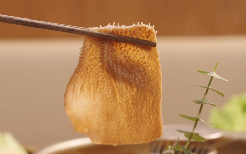 巴奴毛肚火锅冲刺港交所，去年靠卖毛肚营收23亿