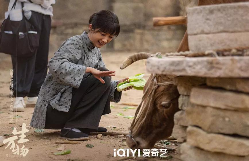 图源：豆瓣