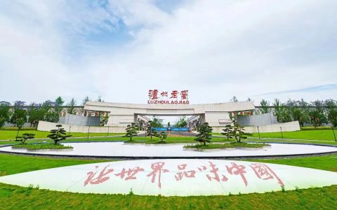 泸州老窖的「周期突围」：低度化、年轻化战略如何撬动百亿市场？