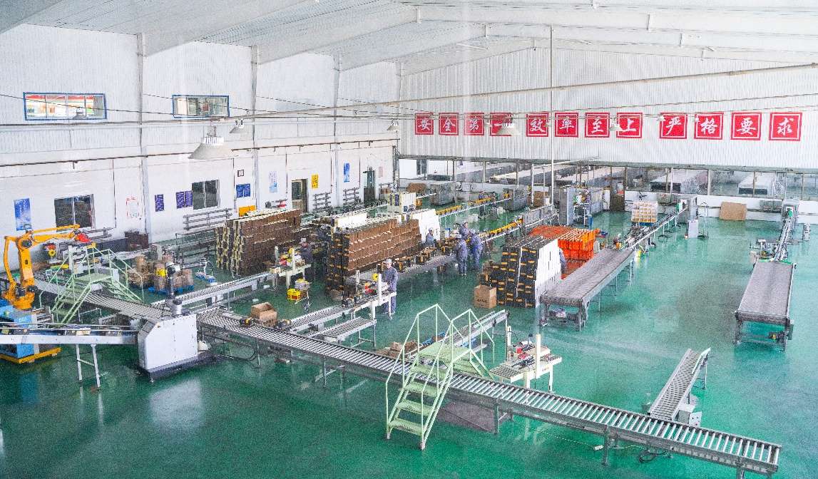 北漂返乡、日销千单：吕梁沙棘产业借拼多多实现人才、销量“双回流”