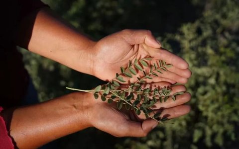 狂飙的谷雨，与它甜蜜的烦恼