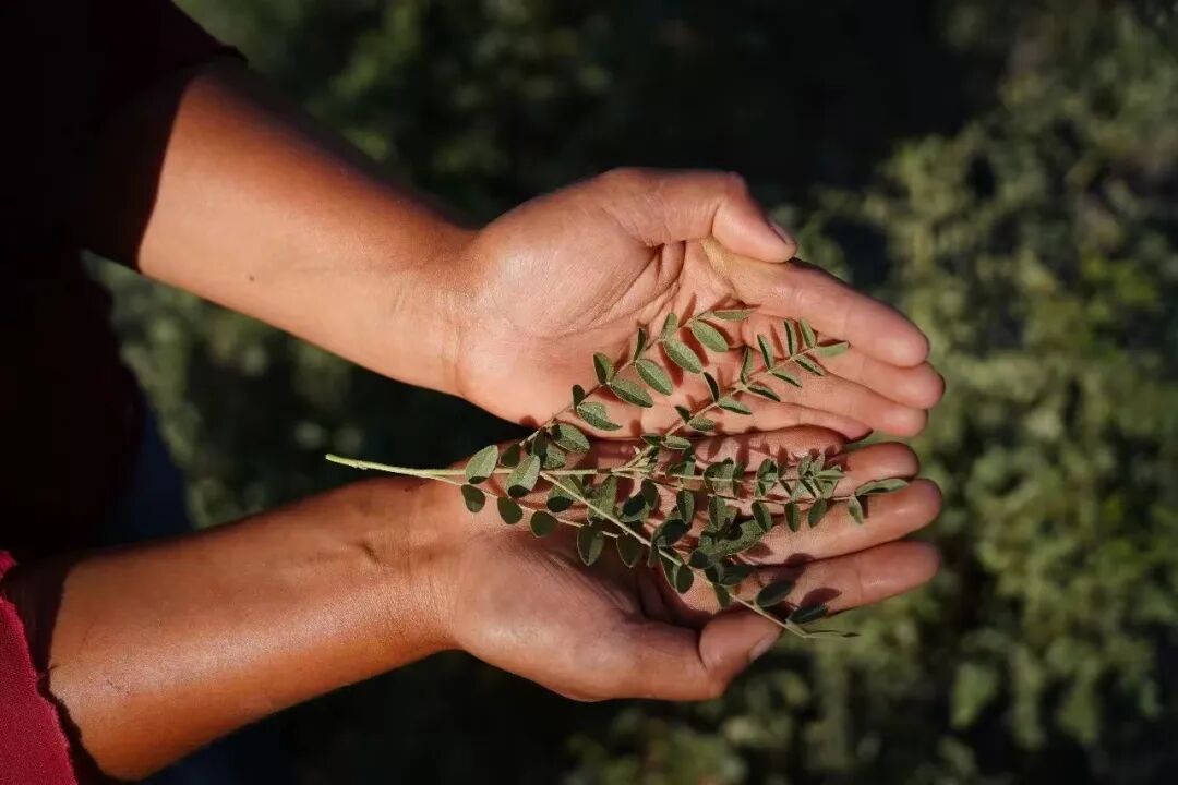 狂飙的谷雨，与它甜蜜的烦恼