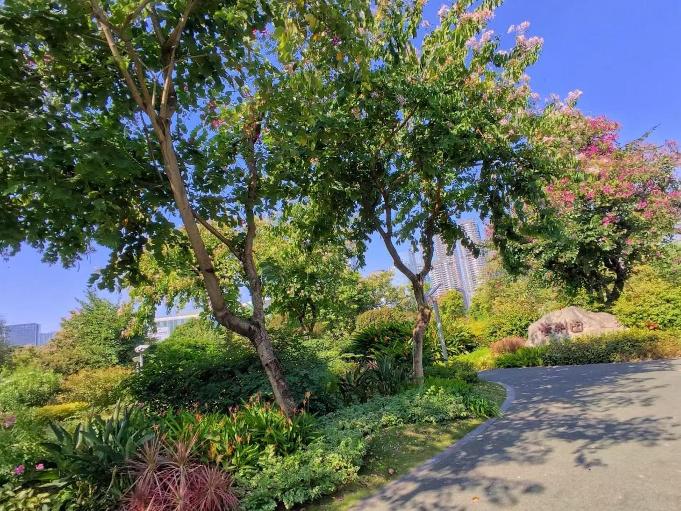 实测理想Livis，抓拍效果不俗，耳机可以下岗啦