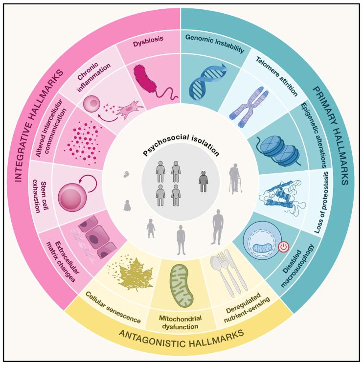 华熙生物赵燕：在不确定的时代，寻找生命科技的确定性