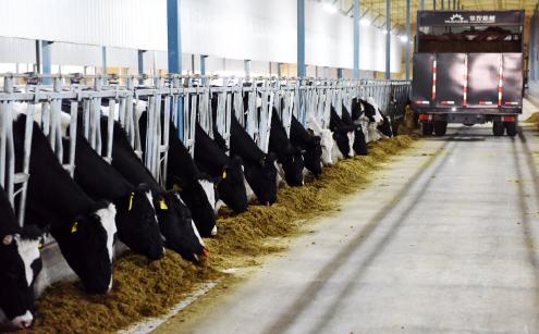 郭晶晶代言的奶品巨头，要去港交所IPO了