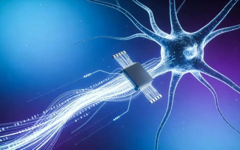 中关村论坛年会观察：智源要啃国产推理芯片的硬骨头