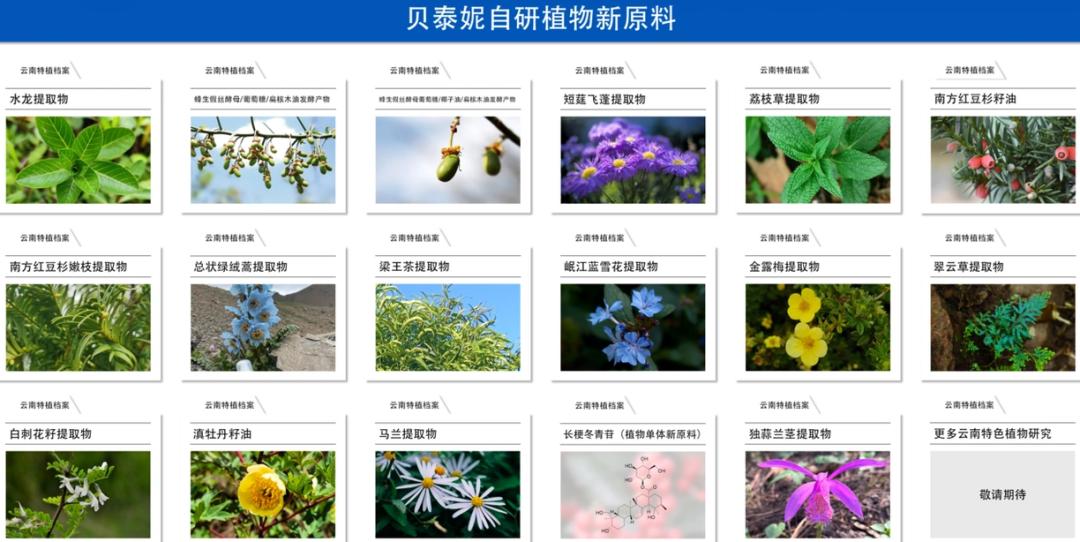 李佳琦站台，贝泰妮能打造出第二个「薇诺娜」吗？