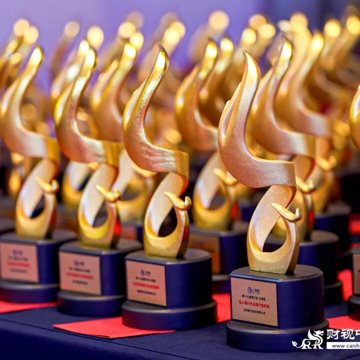 品牌峰会 | “2025年度上市公司CFO·介甫奖”评选正式启动——定义行业标杆，让卓越被看见