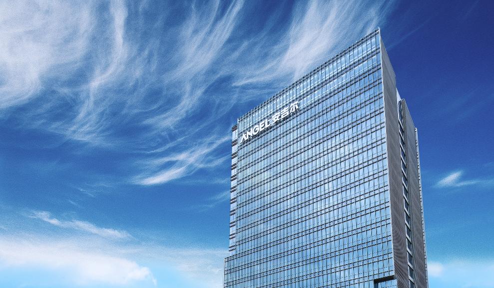 从品类开创者到品类「代名词」，安吉尔爆品底层逻辑是什么