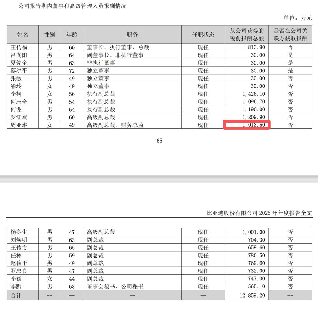 从基层到千万年薪,比亚迪财务一姐站上A股之巅