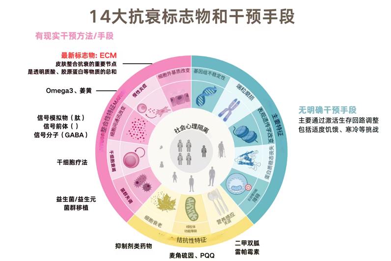 重构抗衰底层逻辑：华熙生物在ECM上的全生态布局