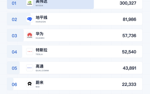 智驾芯片“双强”格局形成：英伟达第一，地平线第二