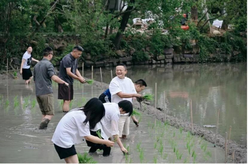 马云插的不是秧，是资本市场的「预期」