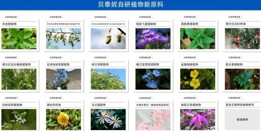 藏在供应链里的“隐形护城河”|国货美妆何以高端④