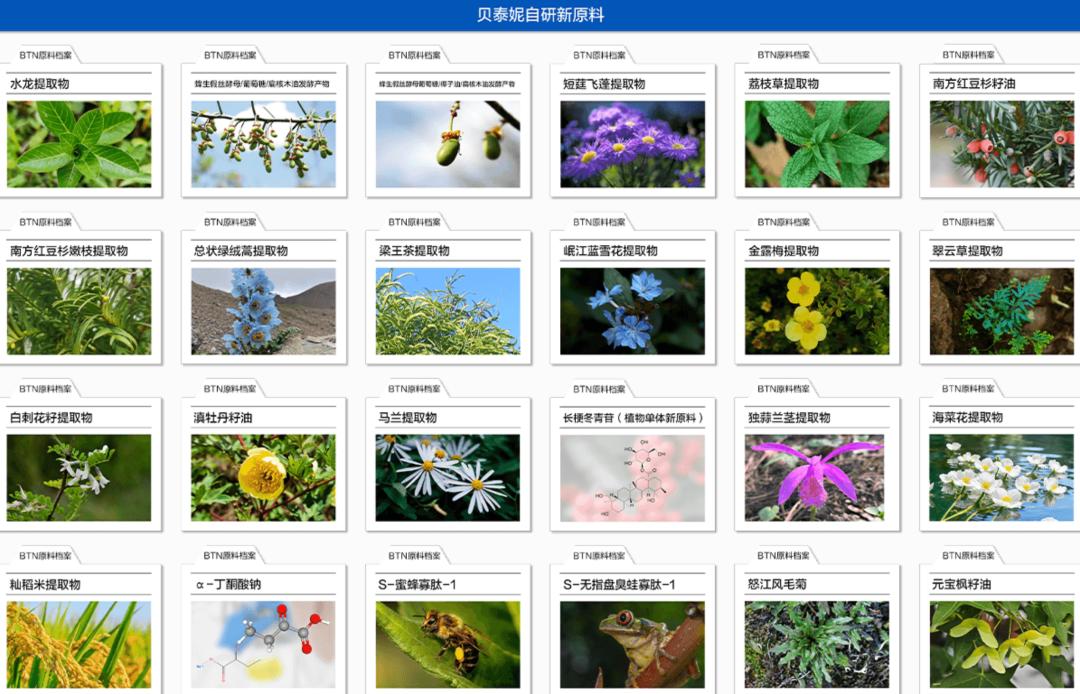 薇诺娜还在为贝泰妮抗鼎
