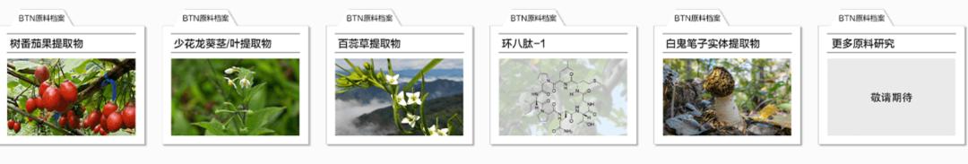 薇诺娜还在为贝泰妮抗鼎