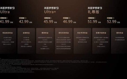 从“追梦者”到“造梦者” 岚图梦想家9上市 41.99万元起
