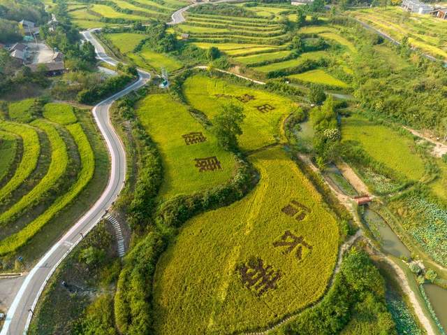 景美村强民富，泰康助力绘就乡村振兴新“丰”景