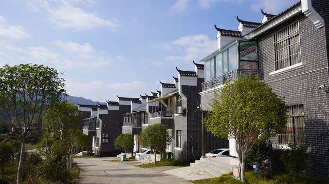 景美村强民富，泰康助力绘就乡村振兴新“丰”景
