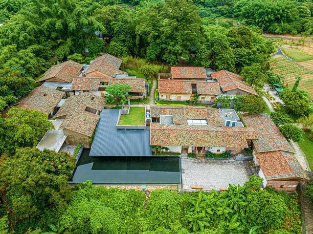 景美村强民富，泰康助力绘就乡村振兴新“丰”景