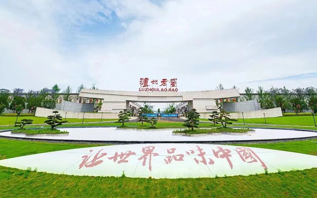 泸州老窖发年中报:261亿现金的底气与分红85亿的诚意