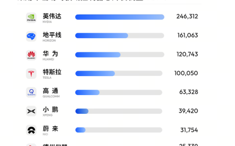 英伟达、地平线领跑智驾芯片市场，份额差距年内缩小约25个百分点
