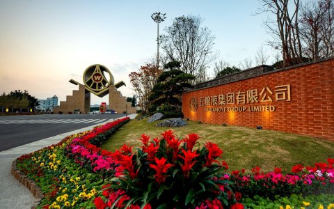调整期是一扇窗——从企业经营视角看五粮液如何用好行业低谷