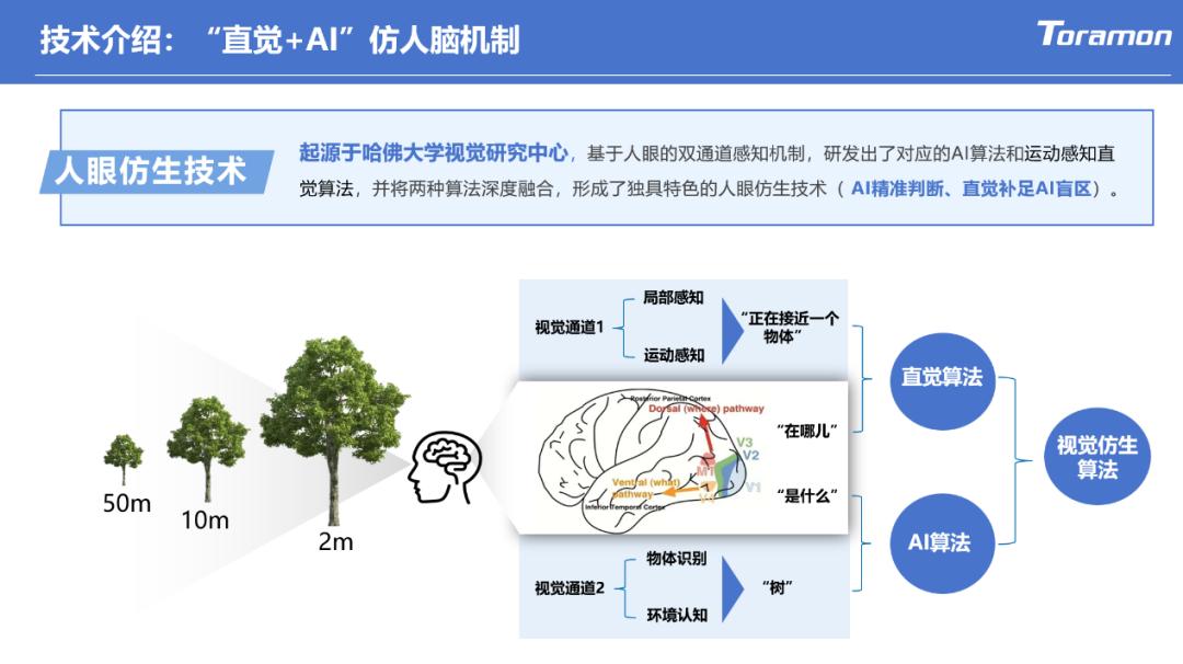 对话哆来目刘䶮:AEB 强制上车前夜,如何打赢普及突围战